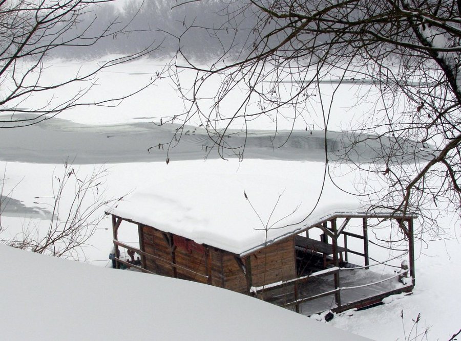 Zale�ena Sava 2012 Zdravko Gr�evi�